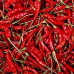 Guntur Chilli