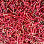 Teja Chilli