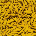 Erode Turmeric