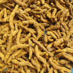 Salem Turmeric