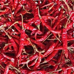 Wholesale Red Chilli Exporter In India