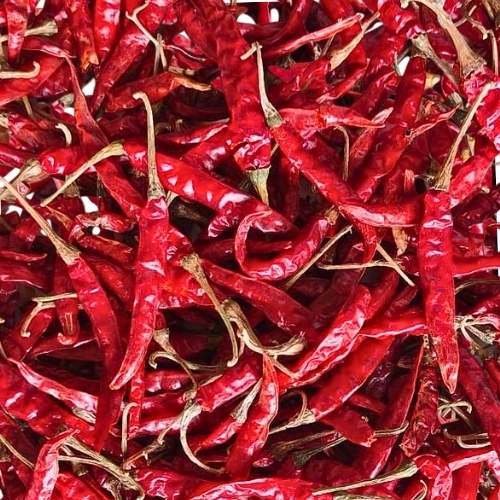 Wholesale Red Chilli Exporter In India